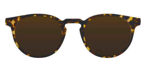 The Polarized Tortoise Sun Top