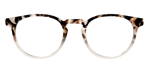 The Vanilla Latte Tortoise