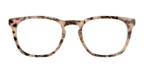 The Almond Tortoise with Gold Streaks