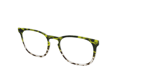 The Avocado to Ivory Tortoise