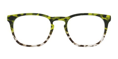 The Avocado to Ivory Tortoise
