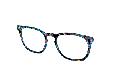 The Black Prismatic Pearl Tortoise