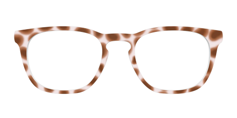 The Caffé Tortoise