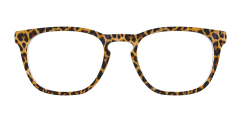 The Cheetah Spots