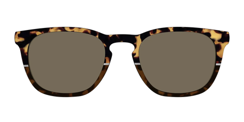 The Polarized Chic Tortoise Split Sun Top