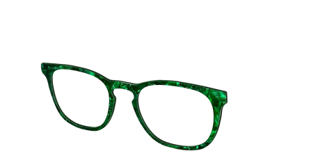 The Clover Pearl Tortoise