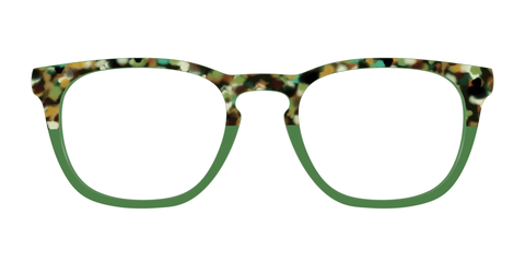 The Forest Tortoise Crystal Split