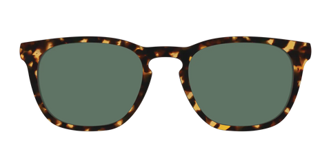 The Non-Polarized Green Tortoise Sun Top