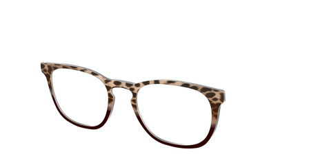 The Jungle Cat Tortoise