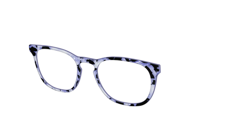 The Lilac Pearl Tortoise
