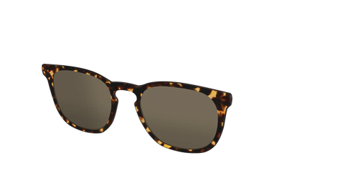 The Non-Polarized Tortoise Sun Top
