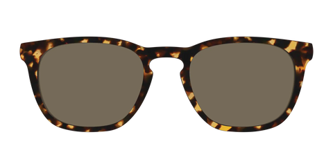 The Non-Polarized Tortoise Sun Top