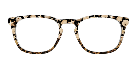 The Ocean Treasures Tortoise