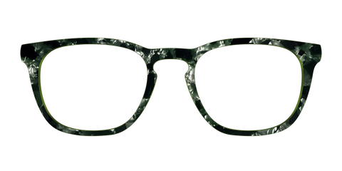 The Olive Pearl Tortoise