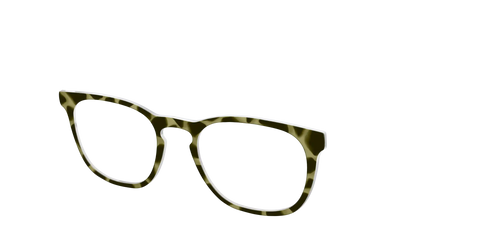 The Olive Tortoise