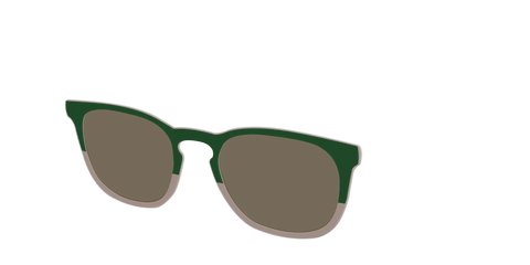 The Polarized Cedar & Sap Crystal Split Sun Top