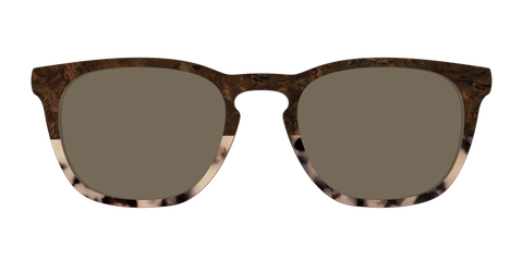 The Polarized Dark Oak Tortoise Split Sun Top