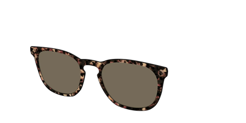 The Polarized Sienna Tortoise Sun Top