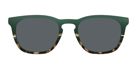 The Polarized Spruce Tortoise Sun Top