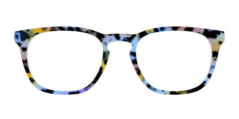 The Positano Tortoise