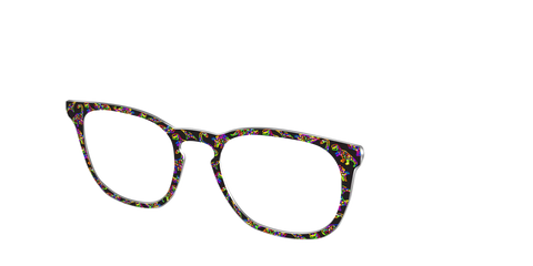 The Rainbow Dinos