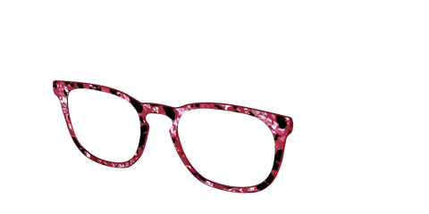 The Raspberry Pearl Tortoise