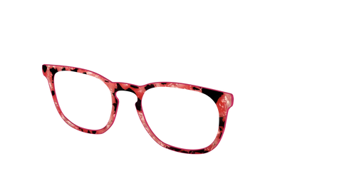 The Red Agate Pearl Tortoise