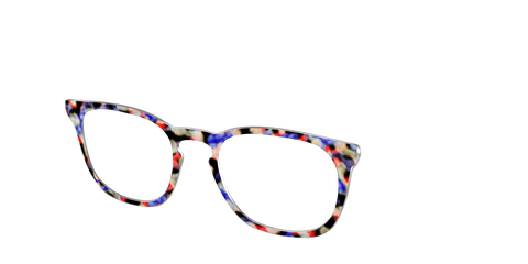 The Tempo Tortoise