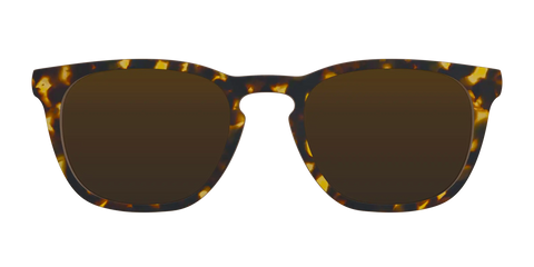 The Polarized Tortoise Sun Top