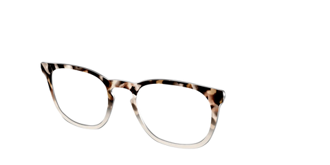 The Vanilla Latte Tortoise