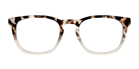 The Vanilla Latte Tortoise