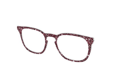 The Western Paisley