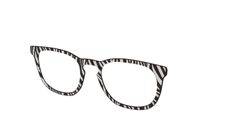 The Zebra Stripes