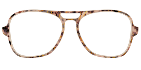 The Almond Tortoise with Gold Streaks