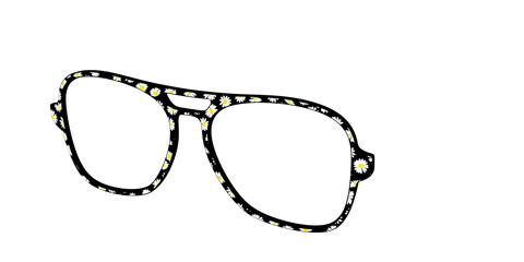 The Black Daisy