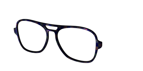 The Black Holographic Check