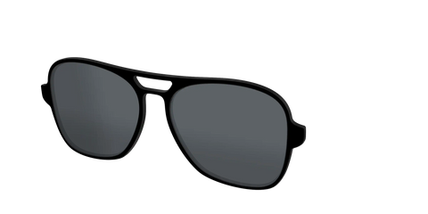 The Polarized Black Sun Top