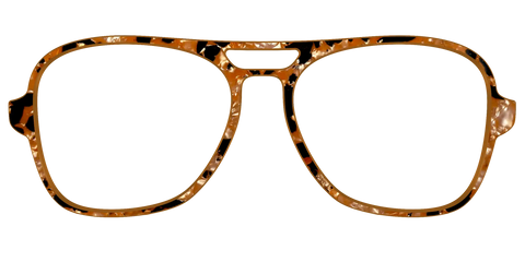 The Caramel Pearl Tortoise