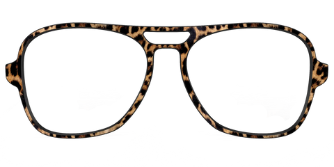 The Cheetah Spots