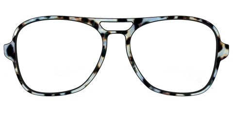 The Earl Grey Tortoise