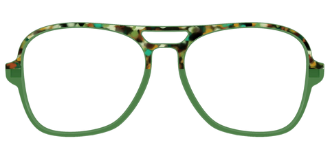 The Forest Tortoise Crystal Split