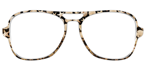 The Ocean Treasures Tortoise
