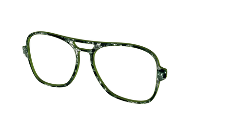 The Olive Pearl Tortoise