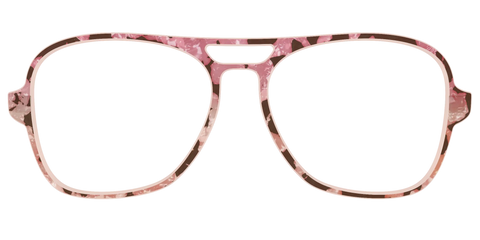 The Pale Peach Pearl Tortoise