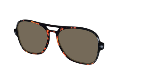 The Polarized Gray & Amber Tortoise Sun Top