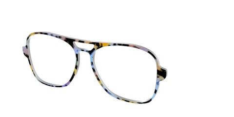 The Positano Tortoise