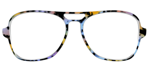 The Positano Tortoise