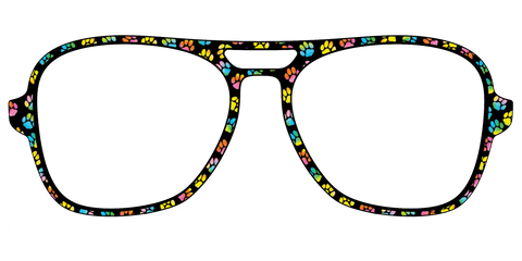 The Rainbow Paw Print