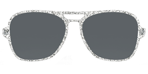 The Polarized Silver Sparkle Sun Top
