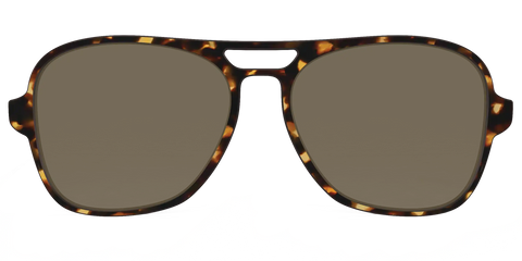 The Polarized Tortoise Sun Top